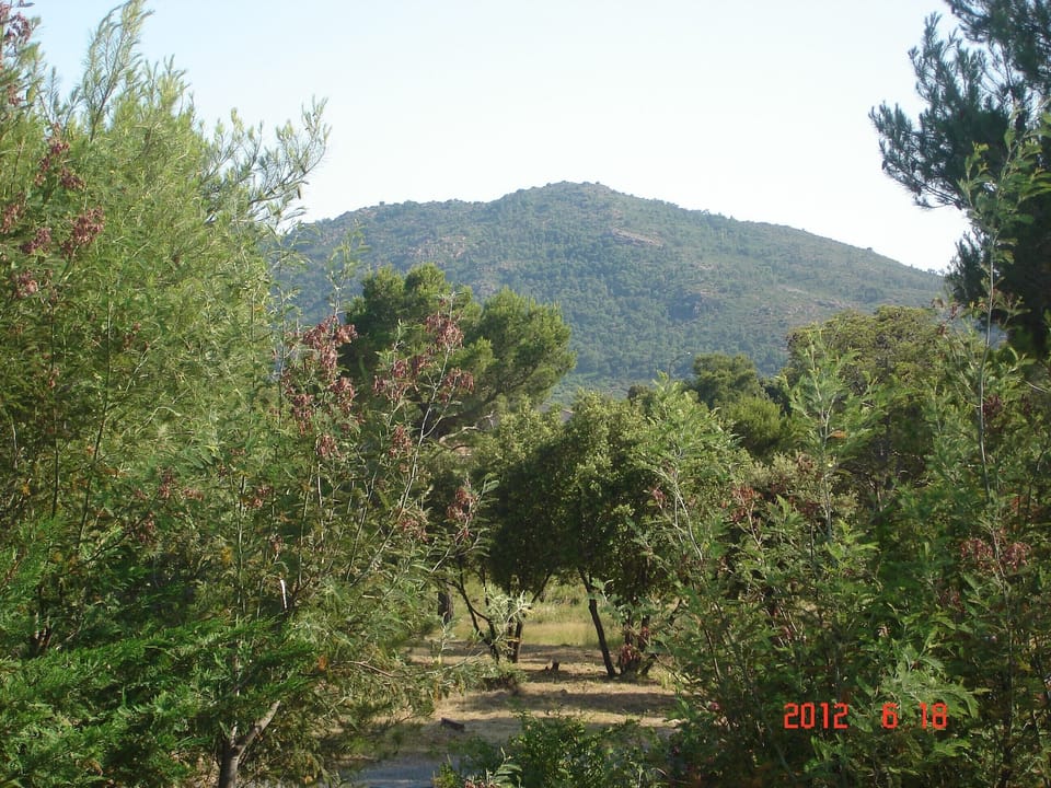 Surrounding hills