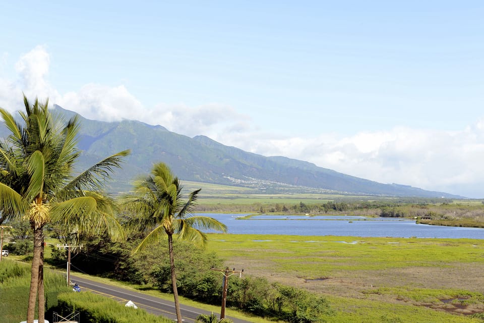 View of Kealia Wildlife refuge from private lanai