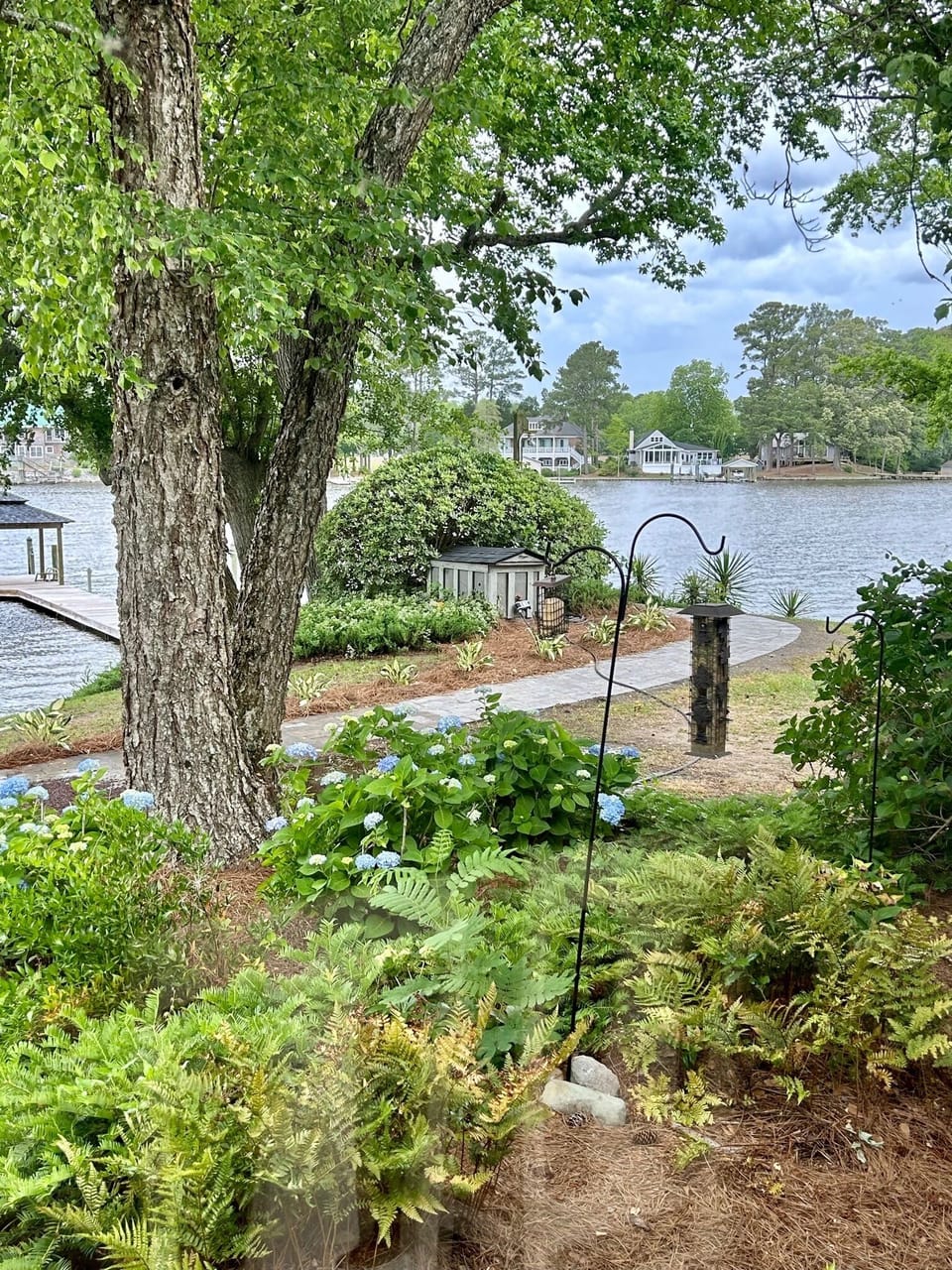 View from Dining Room