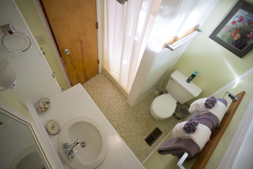Bird's-eye view of the master bathroom with shower. 