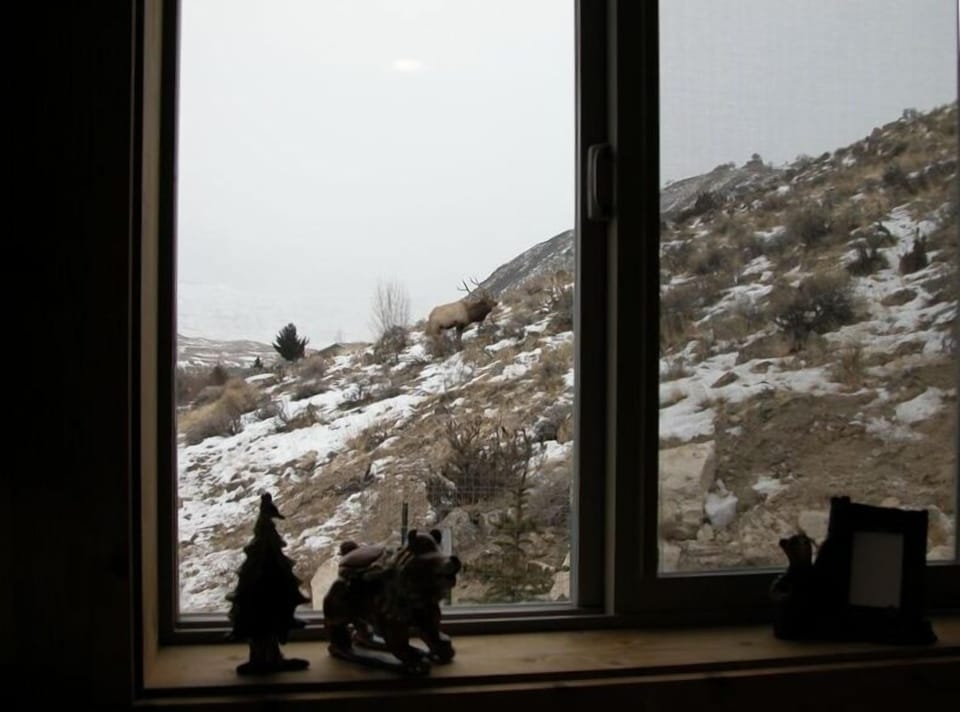 View from kitchen window