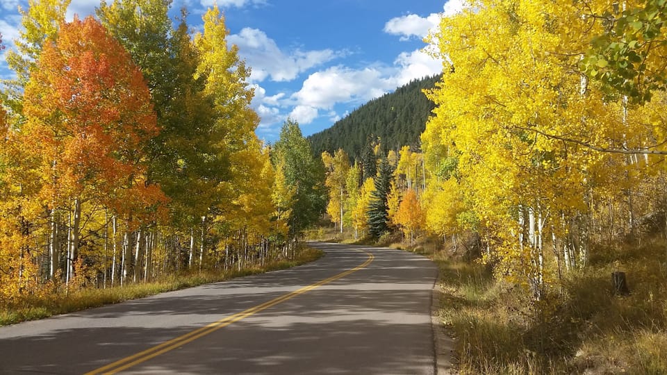 Aspen is beautiful in the fall