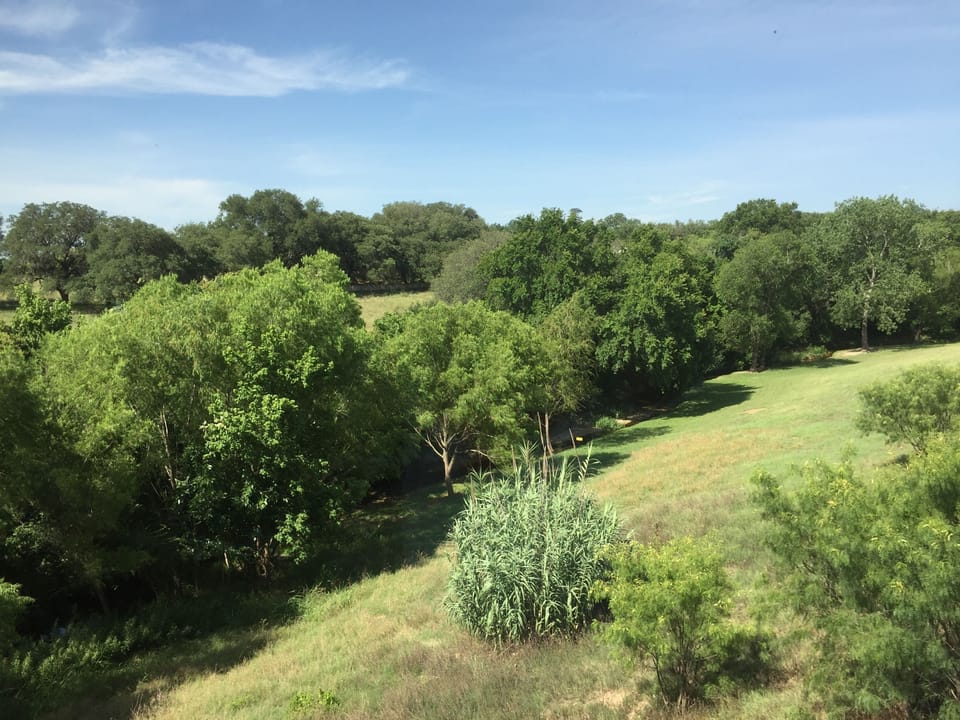 Amazing view from the Loft, Baron's Creek to the left
