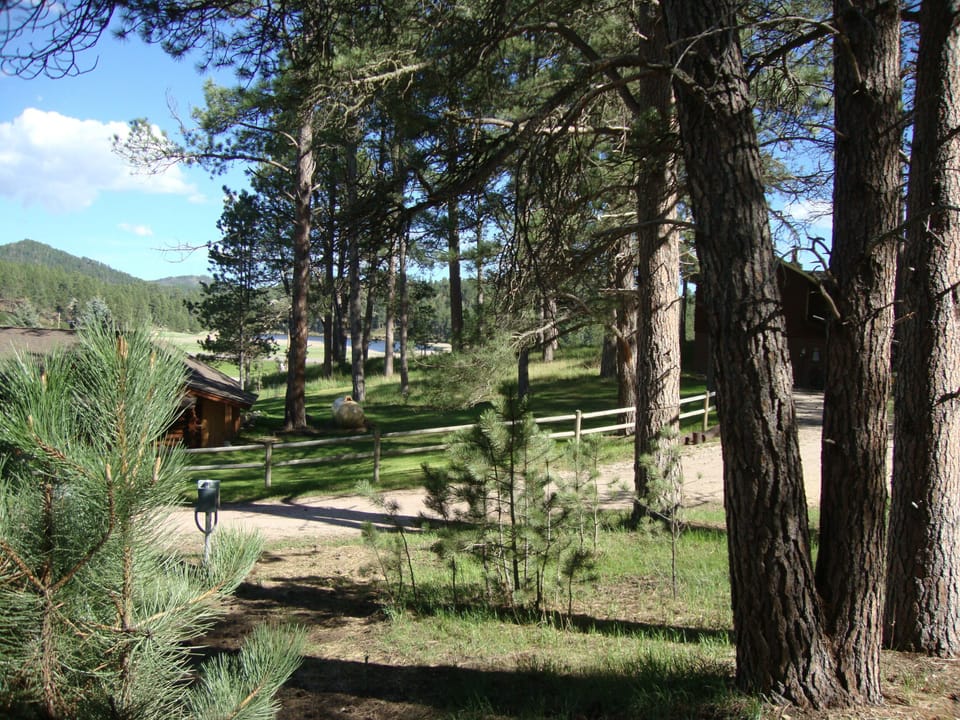 view from front porch of Hunter's Cabin