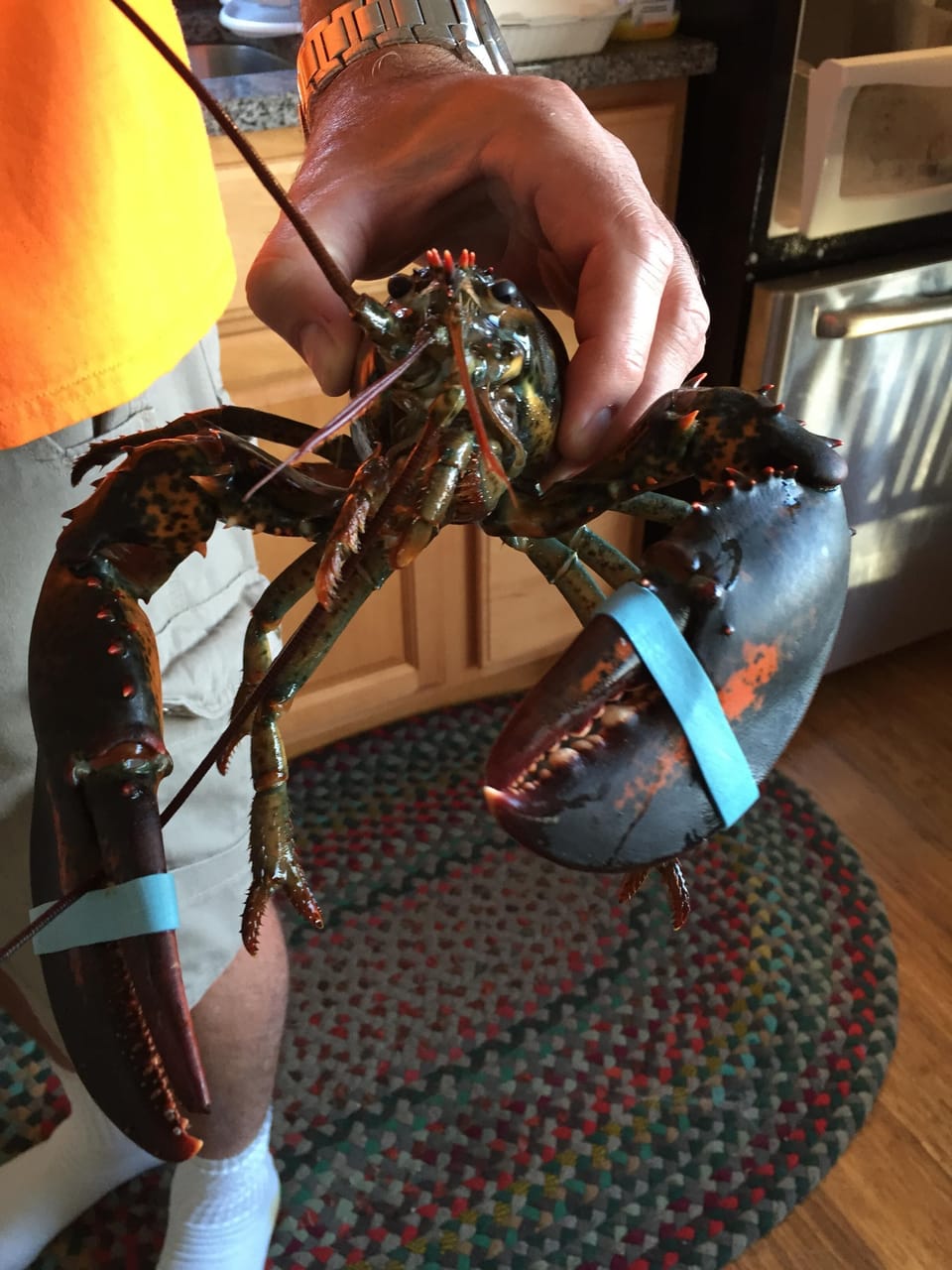 Local catch! Can't get any fresher!