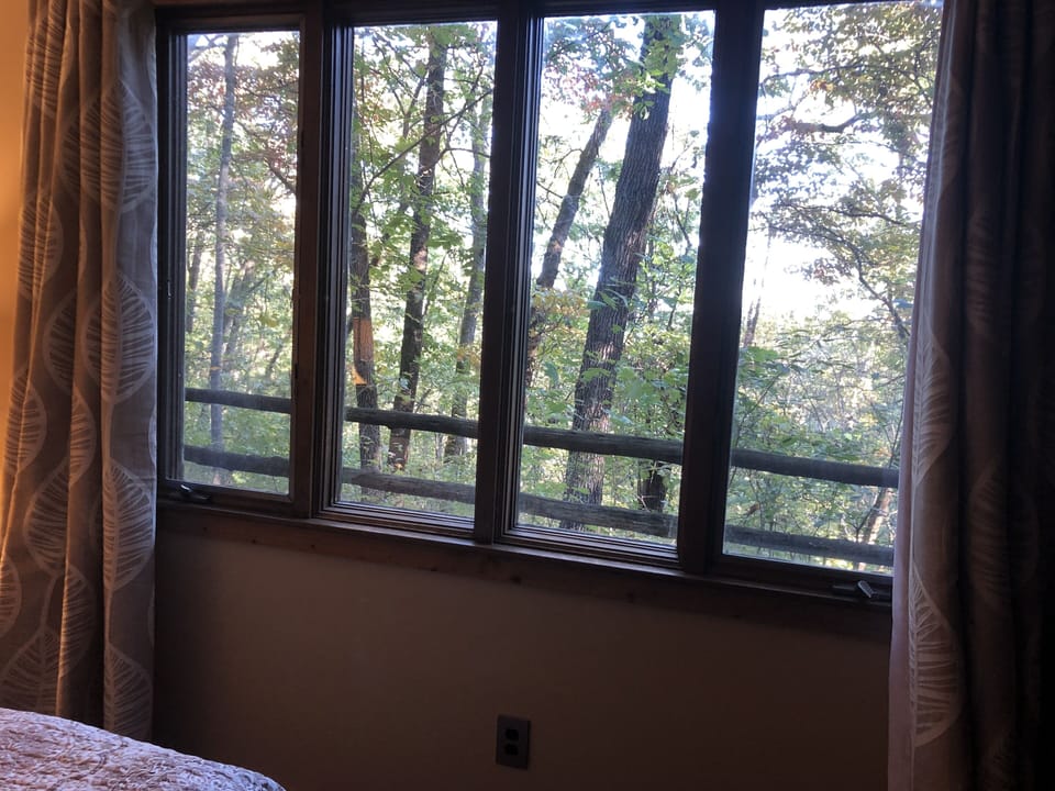 Bed Room View