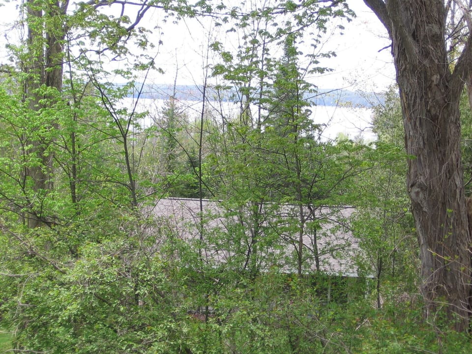 View from the side porch of the lake.