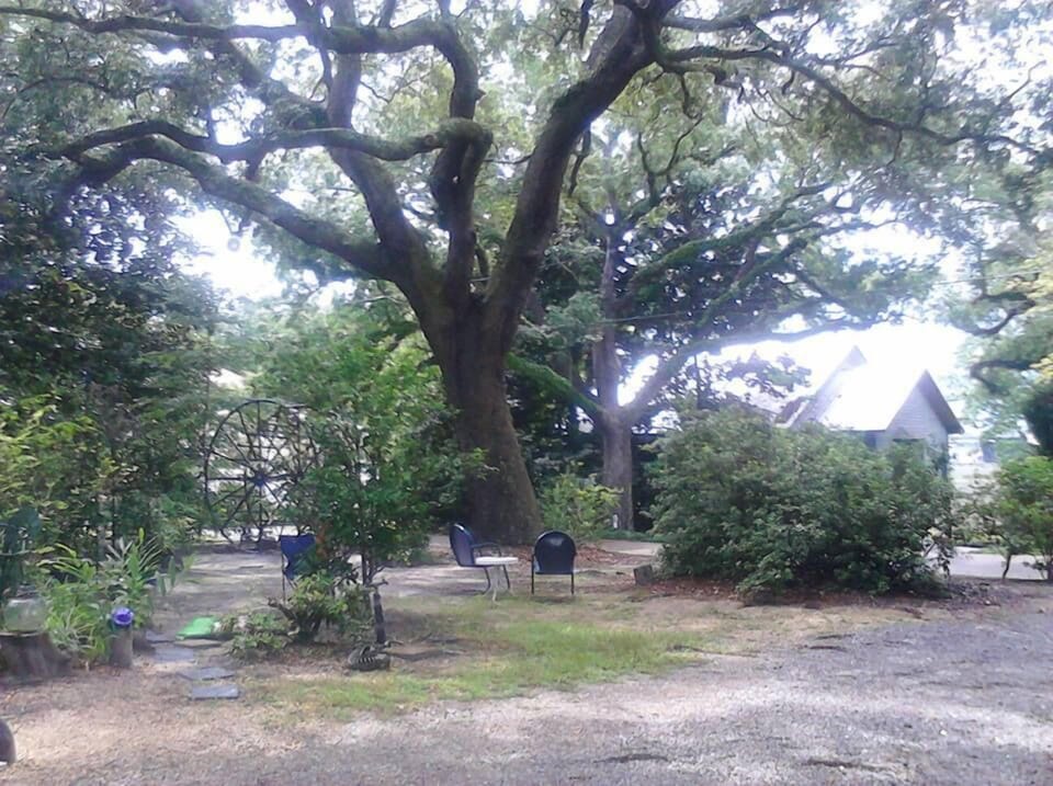 on the grounds Camellia Cottage is at the back of the property (sort of hidden)