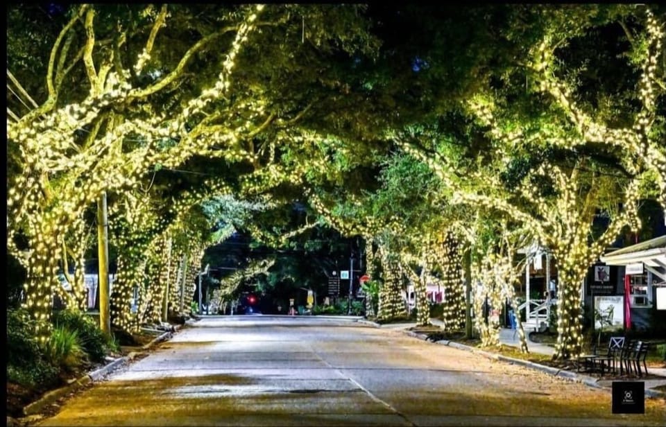 Downtown Ocean Springs at Christmas 