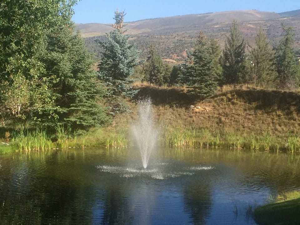 Relaxing pond in park adjacent to the home's open space.