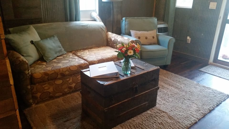 Living room with sofa sleeper.