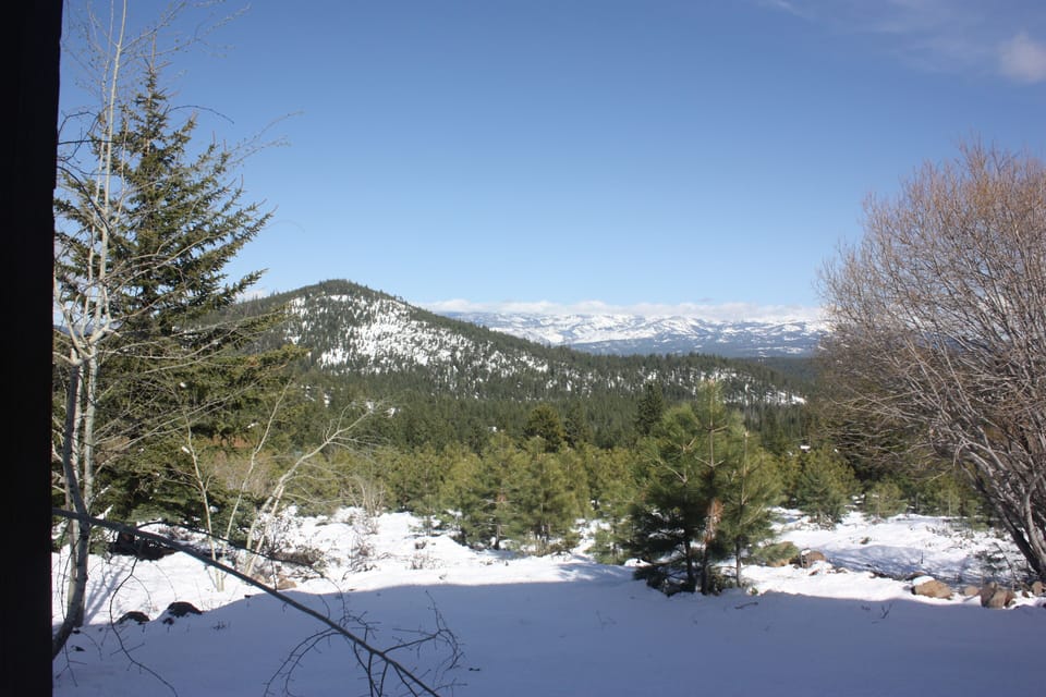 View from Back Yard