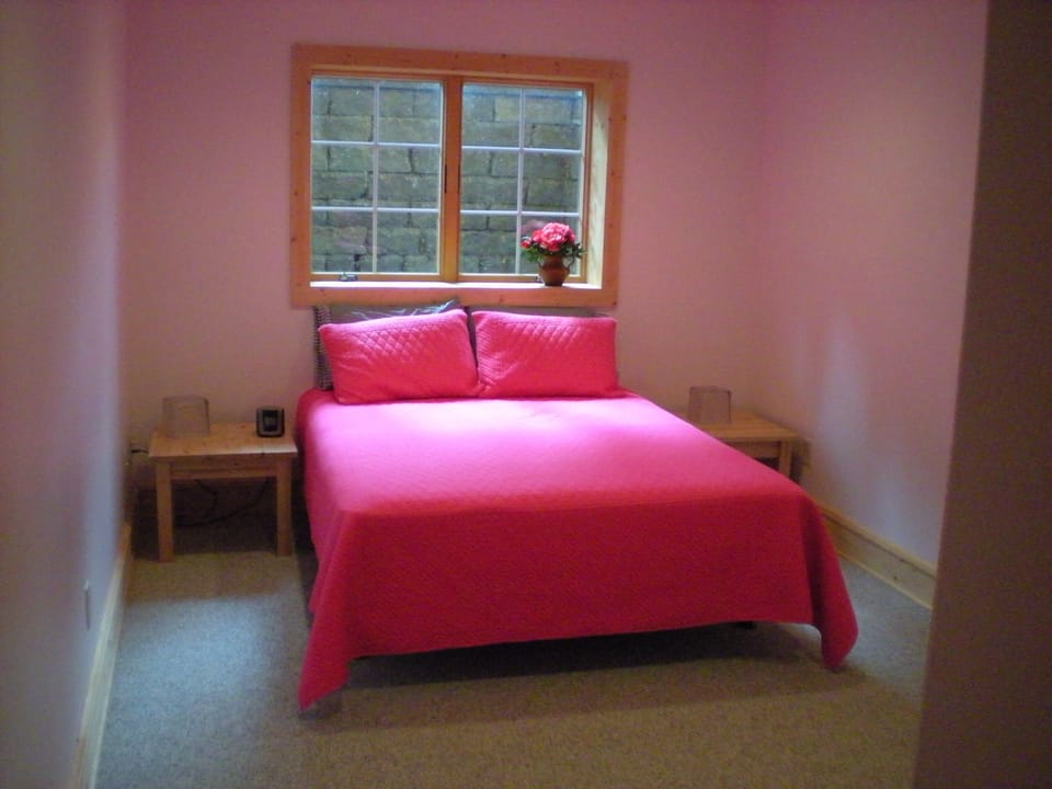 basement bedroom with queen bed