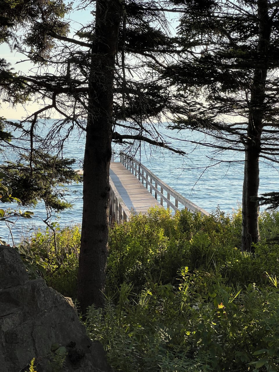 Looking out towards the dock