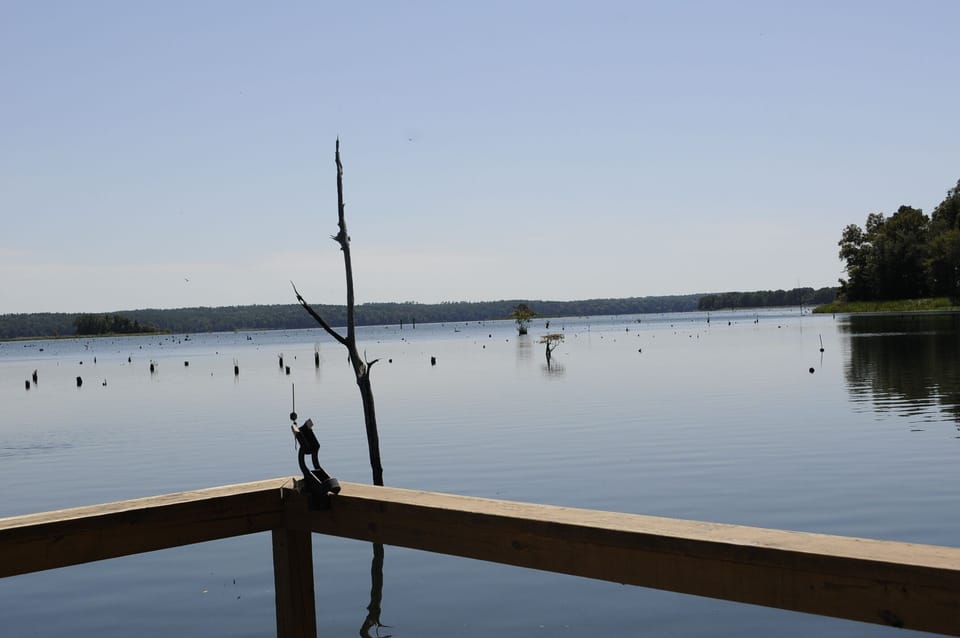 Easy access to the channel to Flint River, Spring Creek & Seminole State Park