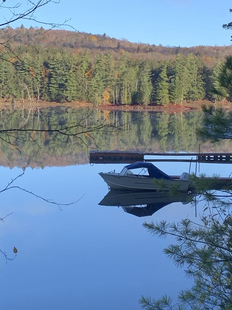 View from Winter cottage.
