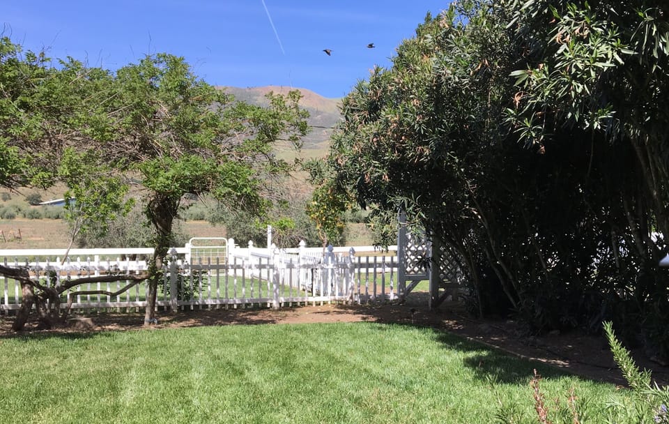Another view from The Tumbleweed Hotel, as a pair of Canadian Geese passing by.