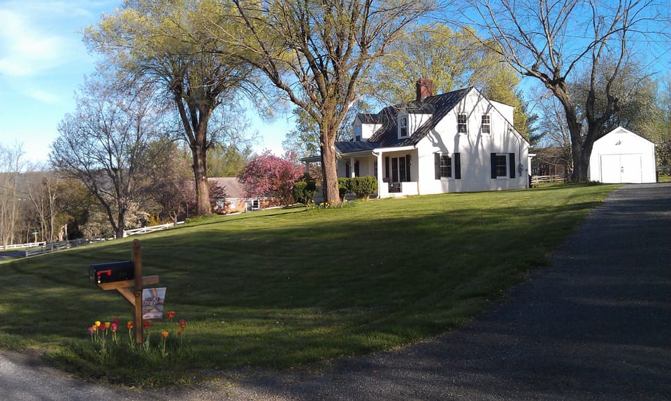Spring time at Carol's Cottage. 