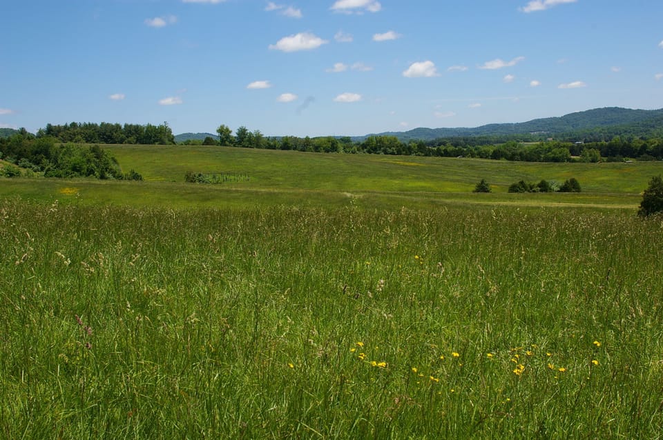 VHC-just across the street. 