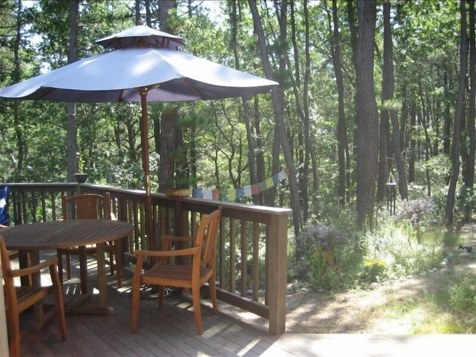 back deck onto woods and garden