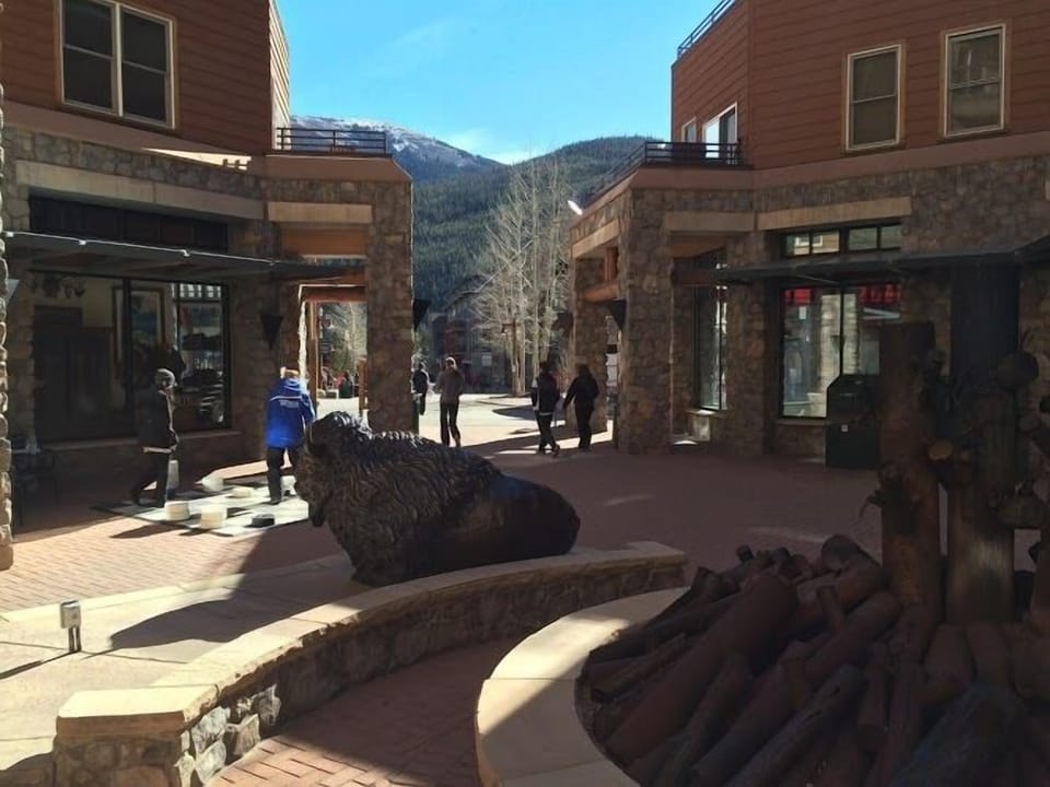 The buffalo and the fire pit outside Buffalo Lodge
