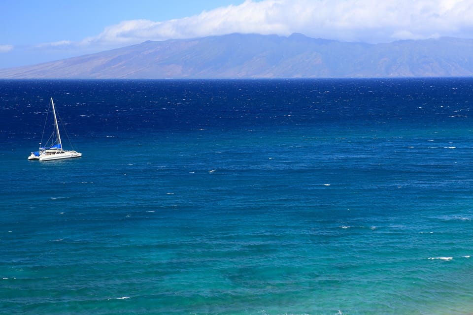 Maui Whaler #156 Offshore