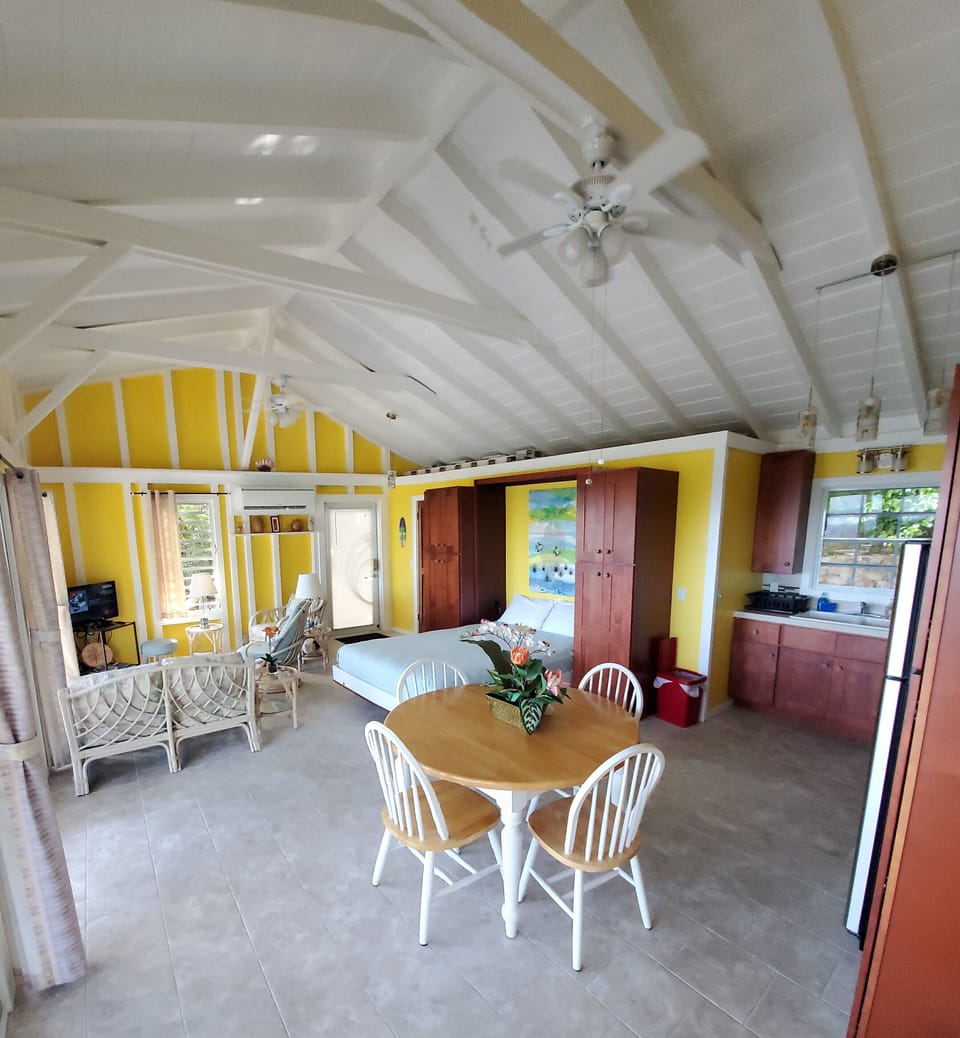 Kitchen/Dining/Living Room with Murphy bed down