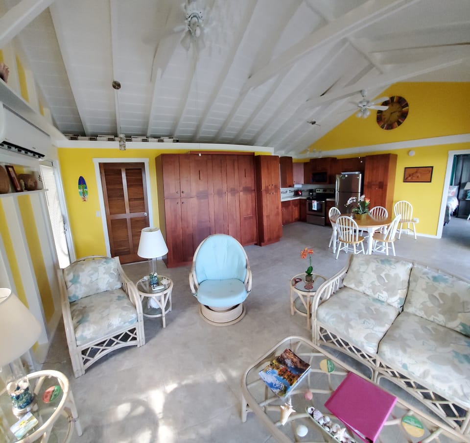 Living Room/Kitchen/Dining with Murphy bed closed