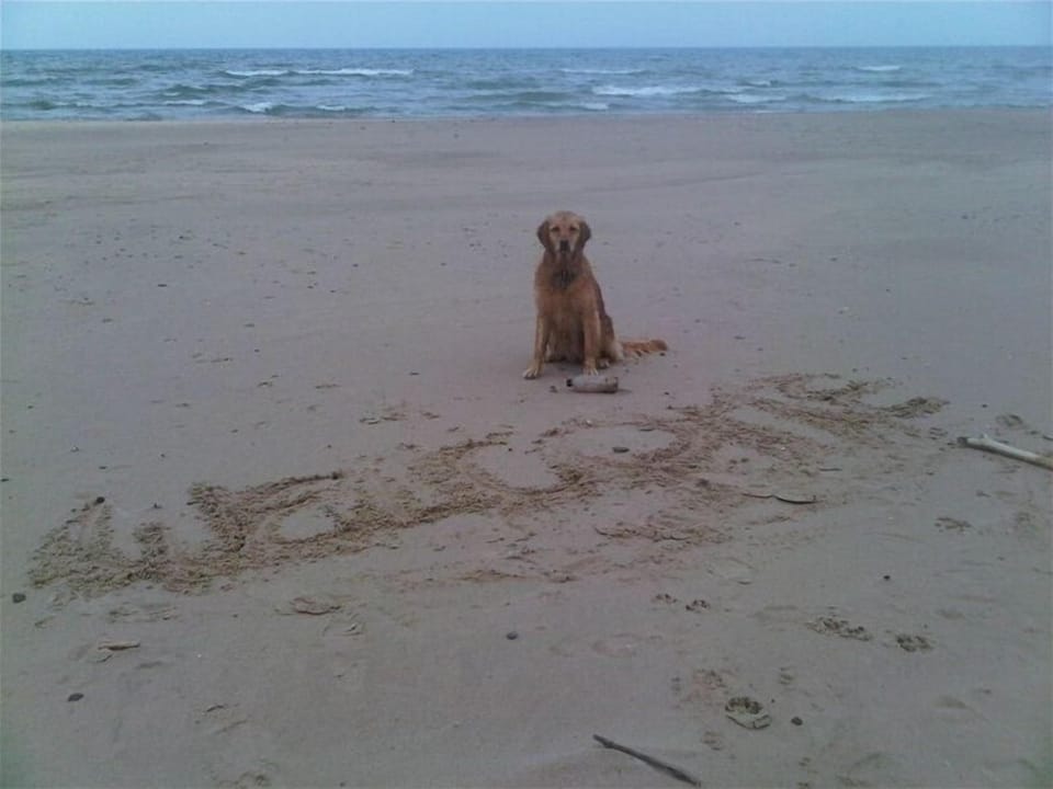 Welcome to Blue Bird Cottage!!
