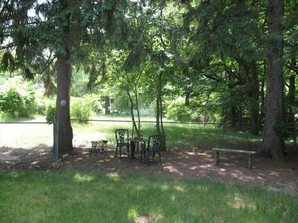 Shaded front yard