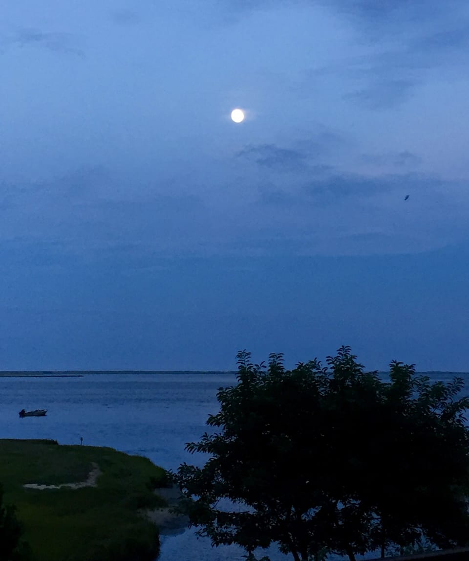 View From The Deck