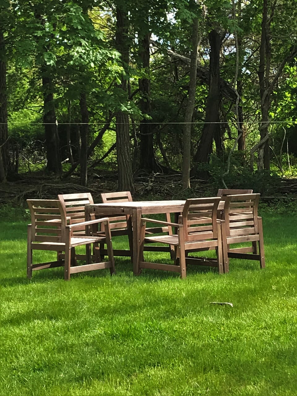 Dining outdoors - seating for 6 in the lovely backyard