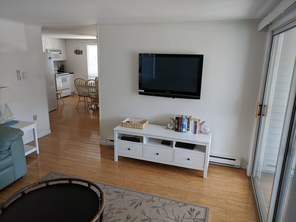 Lower Living Room w/ Flat Screen TV & pull out couch