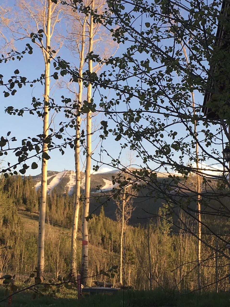 View of Winter Park Ski resort from property