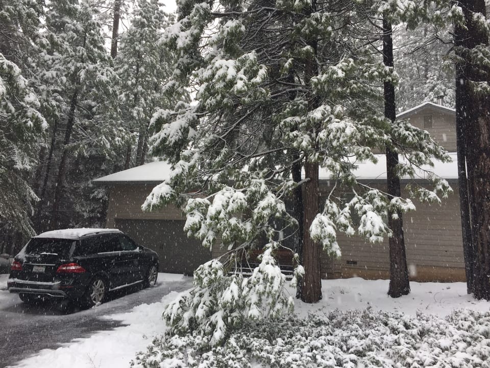 Winter Wonderland!