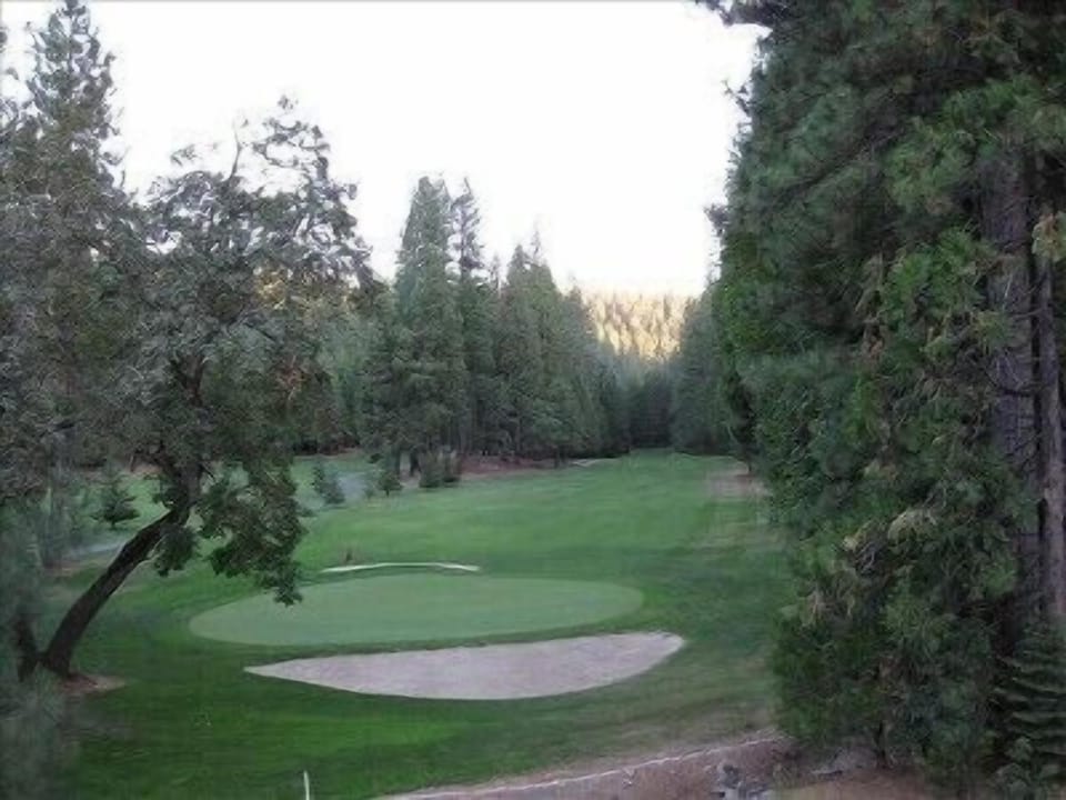 Nearby golf within the pines