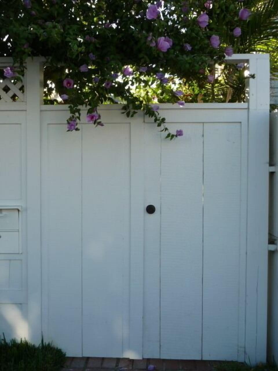 Enter through locked gate and through the garden to find the beach cottage