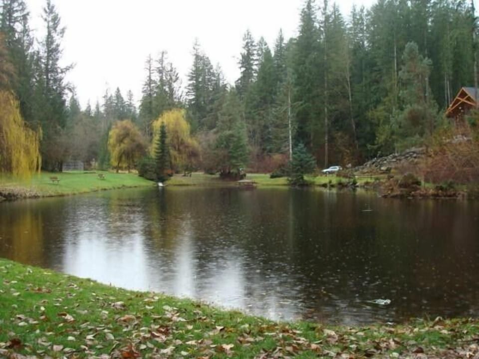 Pond right Across from Front of House