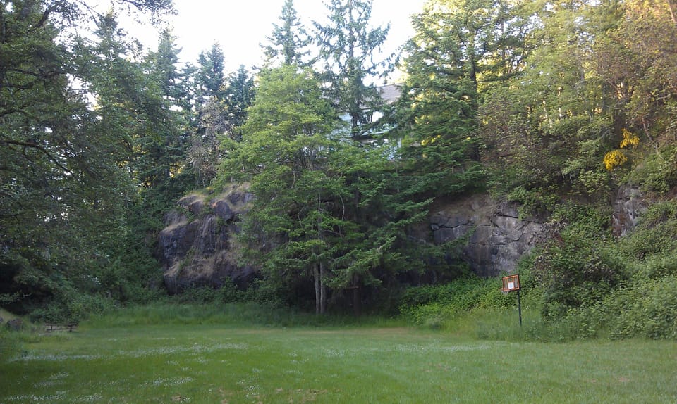 Spring picture from rock quarry looking at our home thru the trees above.