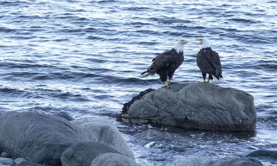 Ernest and Ernestine hanging around!