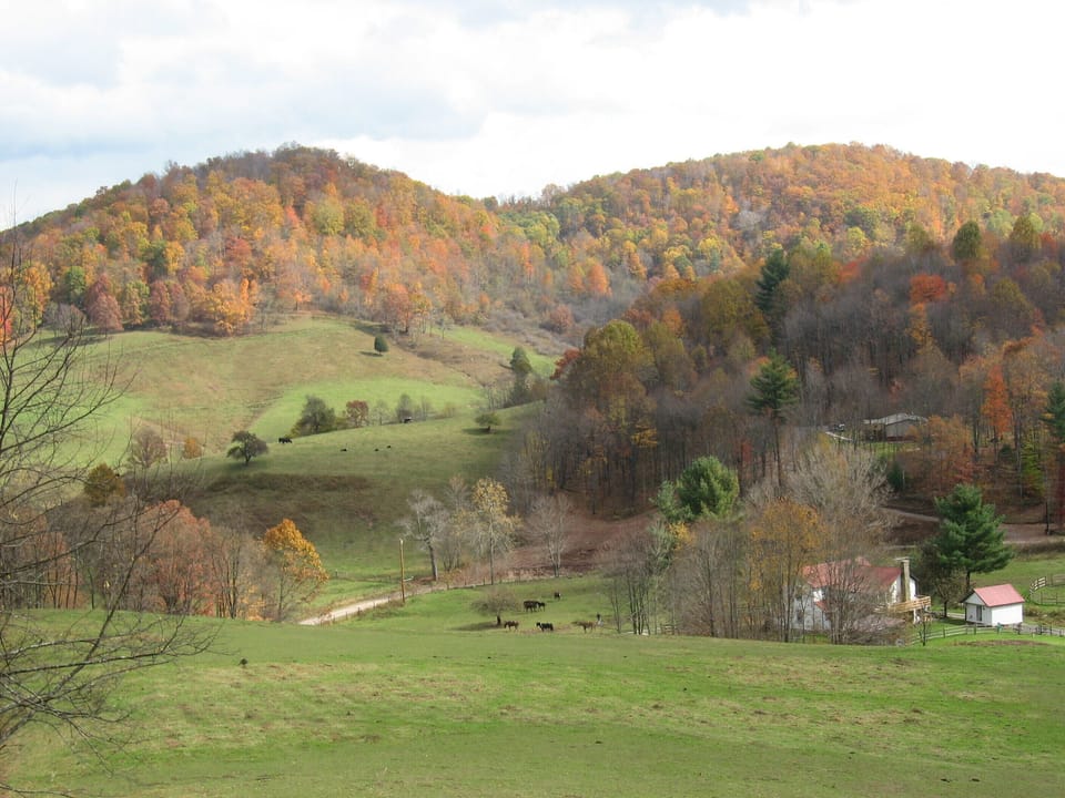 Recently remodeled colonial home located on 125 acres. 