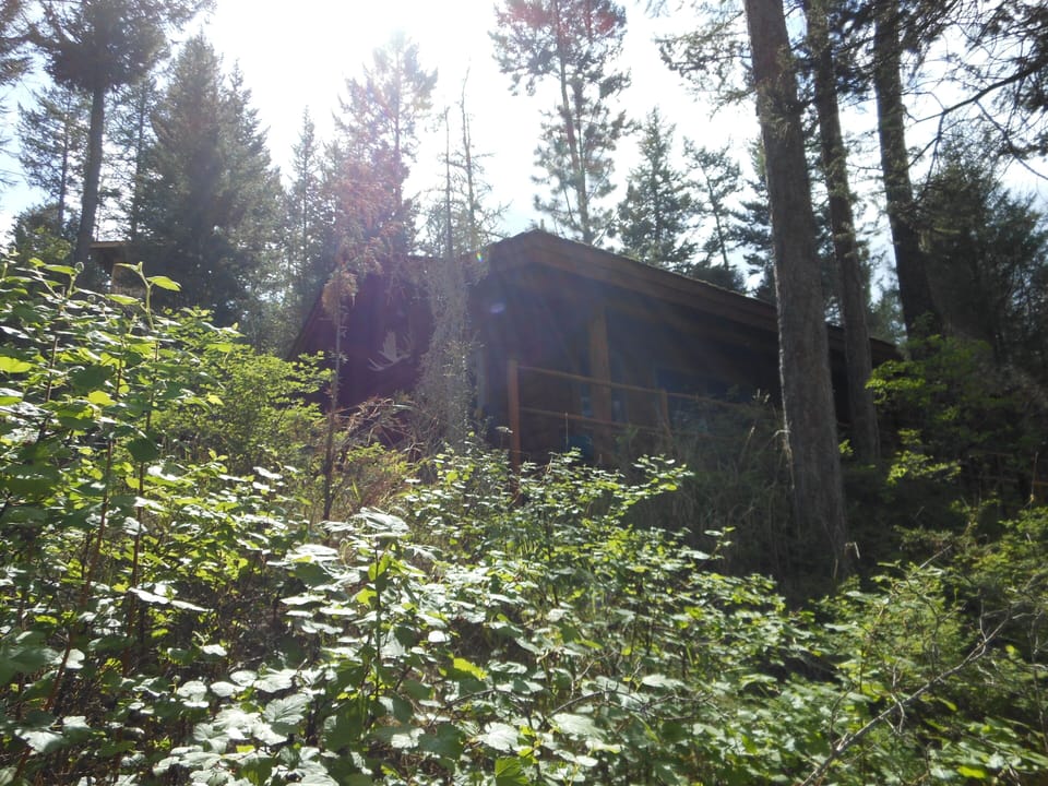 The cabin as seen from the short, gravel path to the lake.