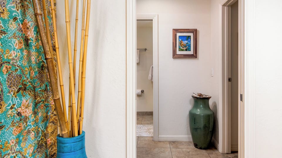 Hallway to second bedroom