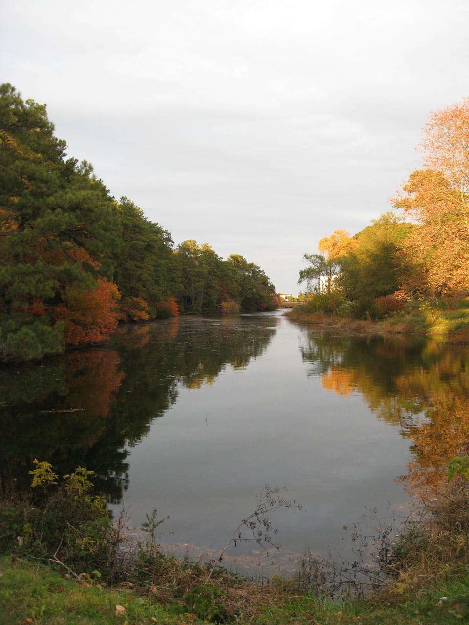 View of Lake Gerar across Olive Avenue