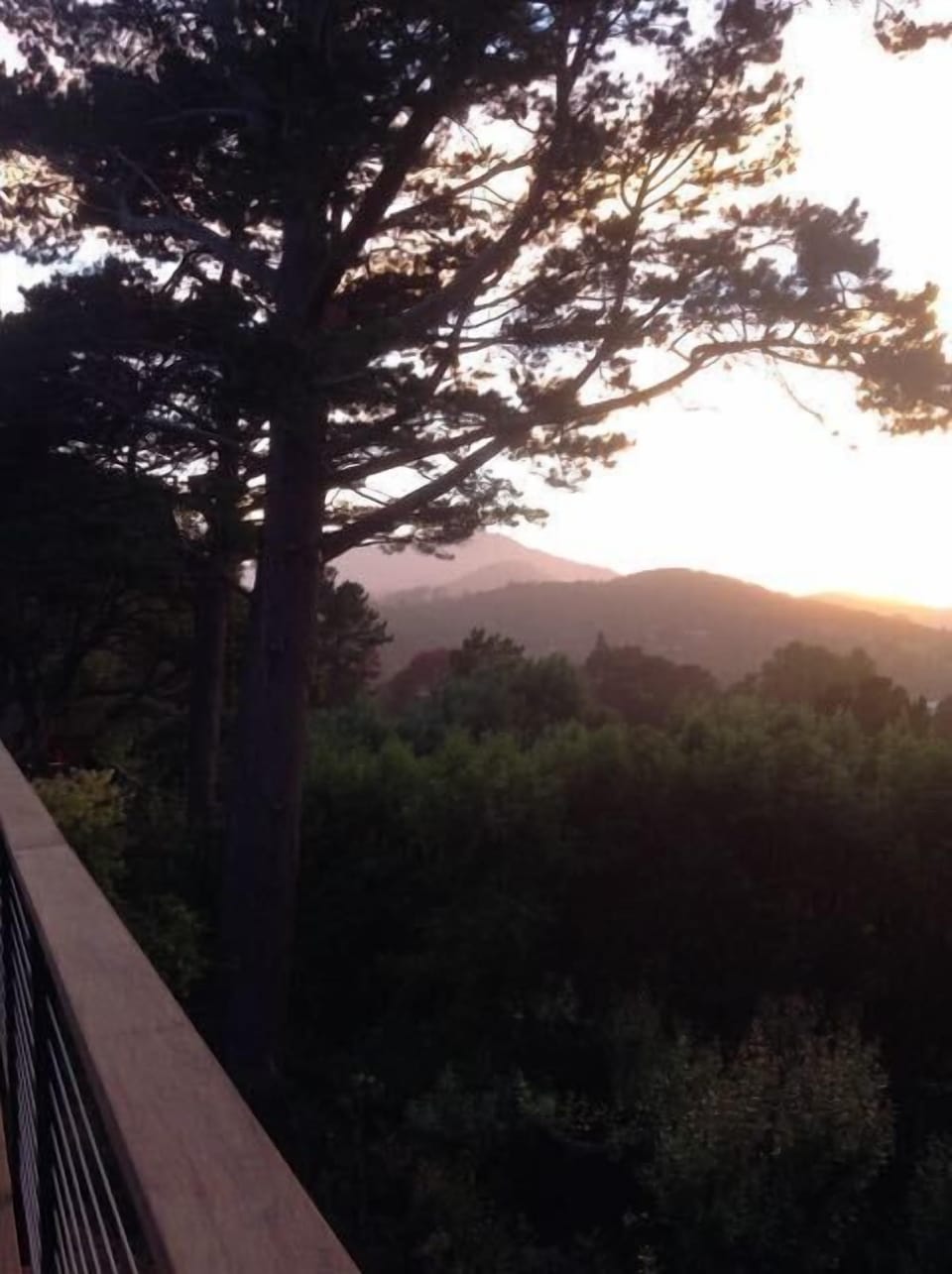 View from  the back deck late in the day