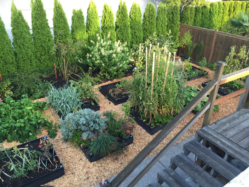 A bounty of in-season fruits and veggies and we're happy to share.