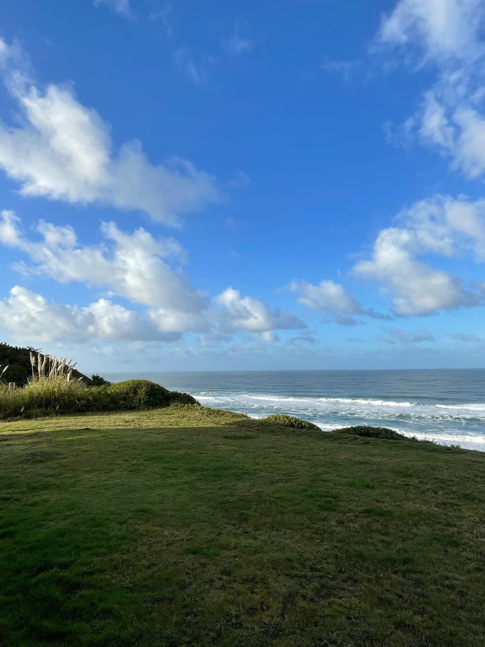 Cliff from back of house looking left. Common area front lawn. 