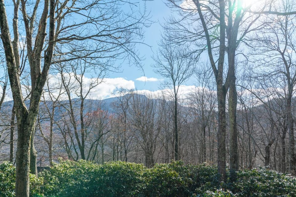 Deck Area--- Winter Mountain View