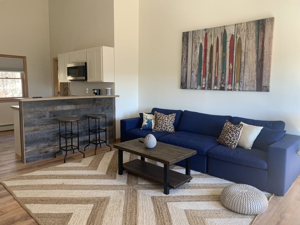 In law Apartment living room + kitchen