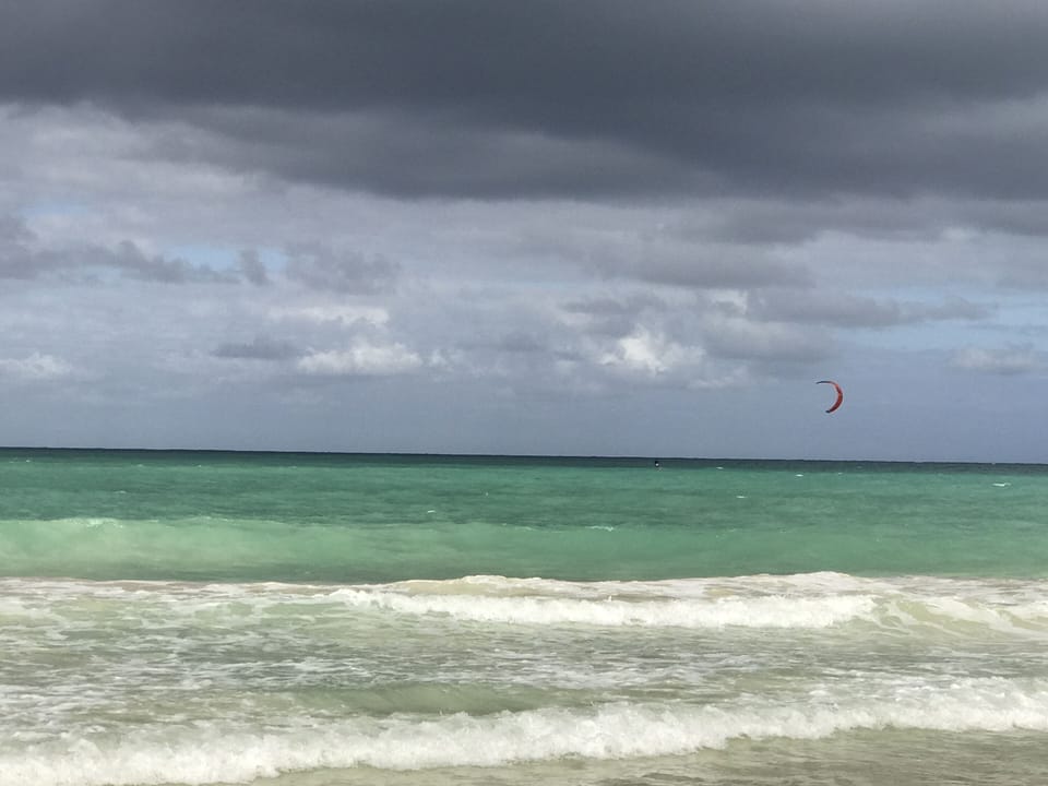 Windy Beach Day